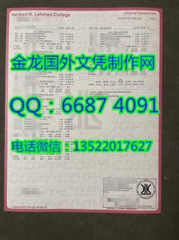 定制美国纽约大学雷